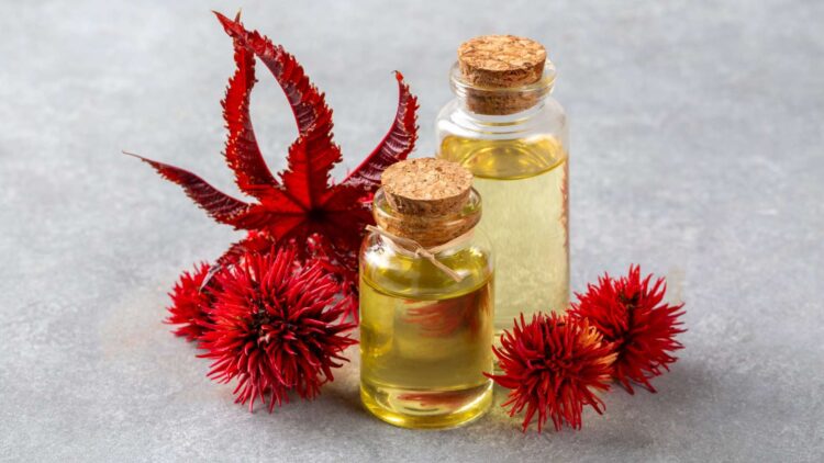Applying Castor Oil to Your Belly Button Could Be the Natural Solution to Relieve Constipation and Boost Gut Health