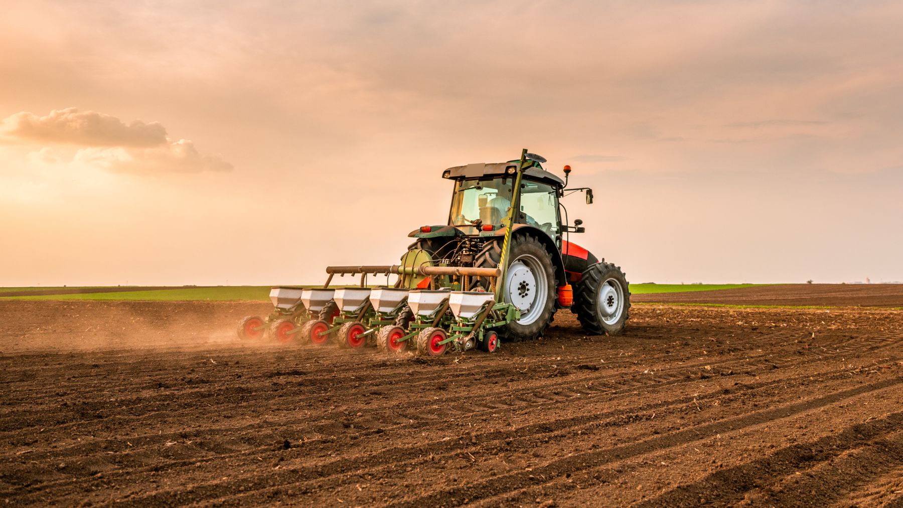 Total Change in Agriculture: Climate Change Decimates Rice Yields