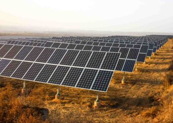 China Covers Desert With Solar Panels in Massive Project That Could Permanently Alter the Global Ecosystem