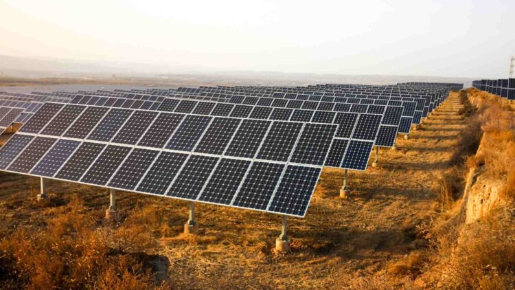 China Covers Desert With Solar Panels in Massive Project That Could Permanently Alter the Global Ecosystem