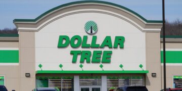 Dollar Tree Deals—10 Essential Grocery Items