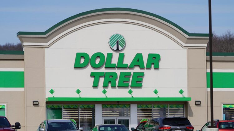 Dollar Tree Deals—10 Essential Grocery Items
