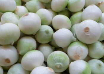 How a Simple Onion Can Make Your Windows Shine