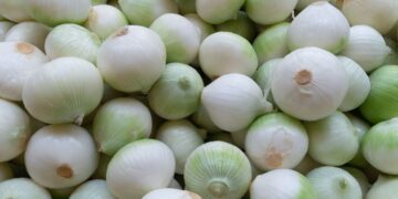 How a Simple Onion Can Make Your Windows Shine