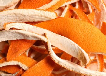 Say Goodbye to Patio Pests With This Genius Orange Peel Trick