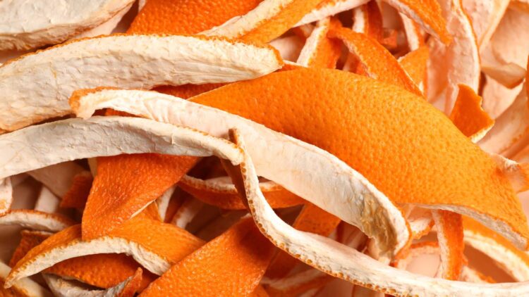 Say Goodbye to Patio Pests With This Genius Orange Peel Trick