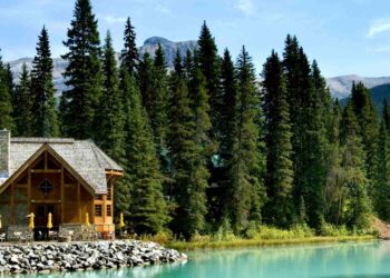 Danish Couple Flees Swedish Eco-Retreat, Leaving Behind 158 Barrels of Human Waste