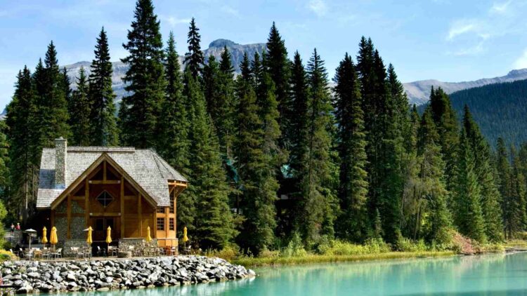 Danish Couple Flees Swedish Eco-Retreat, Leaving Behind 158 Barrels of Human Waste