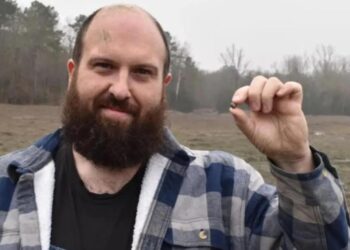 Tourist Finds Diamond in a National Park and Becomes a Millionaire