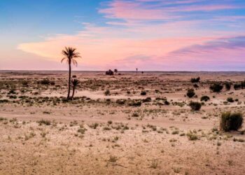 Space Station Camera Captures Mysterious Symbols in the Tunisian Desert
