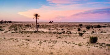 Space Station Camera Captures Mysterious Symbols in the Tunisian Desert