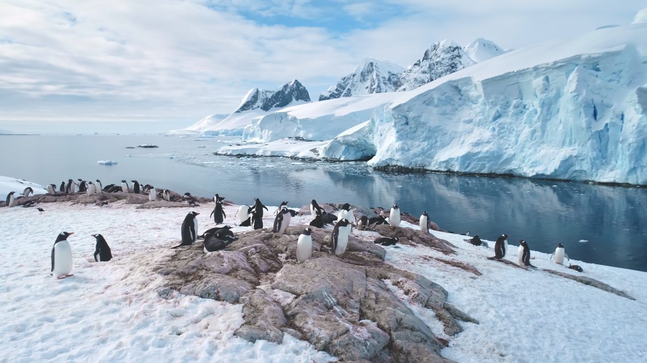 Revolutionizing Clean Energy in Antarctica: The Breakthrough with Hydrogen Fuel Cells