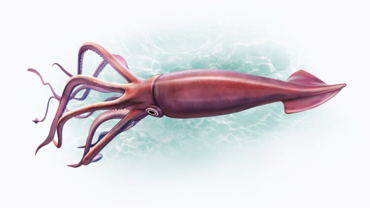 Rare Deep Ocean Monster Resurfaces After More Than a Century