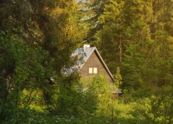 Couple goes from renting a room on Airbnb to earning more than $60,000 a month with cabins in New York - Here's their amazing story