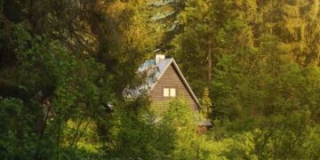 Couple goes from renting a room on Airbnb to earning more than $60,000 a month with cabins in New York - Here's their amazing story