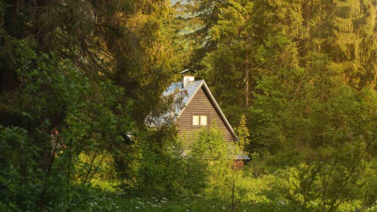 Couple goes from renting a room on Airbnb to earning more than $60,000 a month with cabins in New York - Here's their amazing story