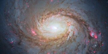 Hubble telescope captures stunning image of Messier 77 galaxy, revealing unprecedented details of its spiral structure