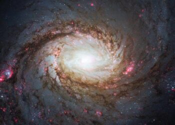 Hubble captures 'Squid Galaxy' in the constellation Whale, 45 million light-years away