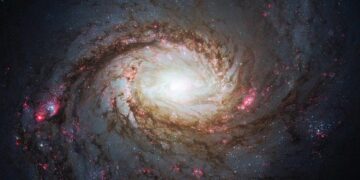 Hubble captures 'Squid Galaxy' in the constellation Whale, 45 million light-years away