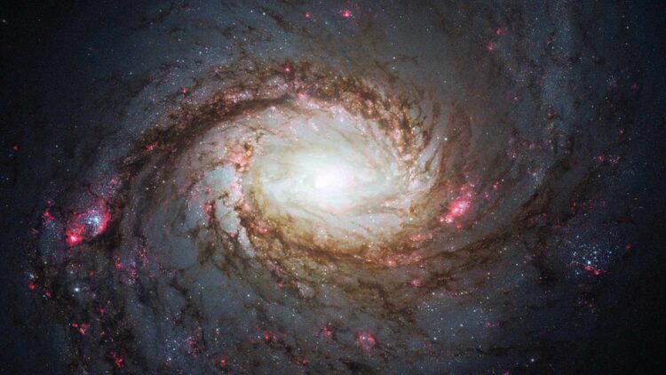 Hubble captures 'Squid Galaxy' in the constellation Whale, 45 million light-years away