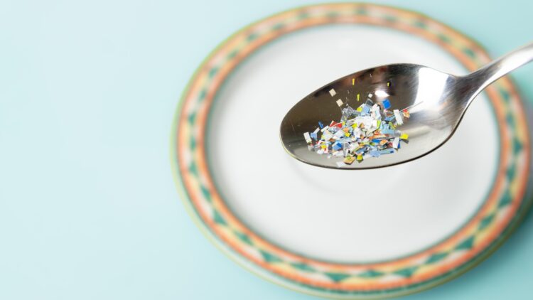 nanoplastics attach to toxic bacteria and create a lethal combination for humans and oceans