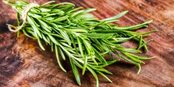 “I Started Using It Daily”—The Aromatic Plant That’s Being Used to Detox the Pancreas Naturally