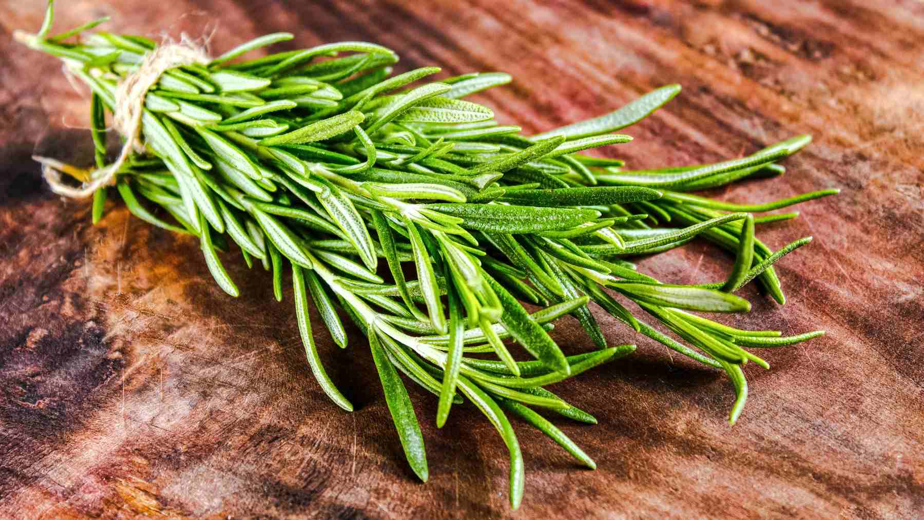 “I Started Using It Daily”—The Aromatic Plant That’s Being Used to Detox the Pancreas Naturally