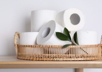 Neither wet nor recycled - this toilet technology is replacing toilet paper and is already taking Asia and beyond by storm