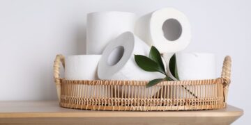 Neither wet nor recycled - this toilet technology is replacing toilet paper and is already taking Asia and beyond by storm