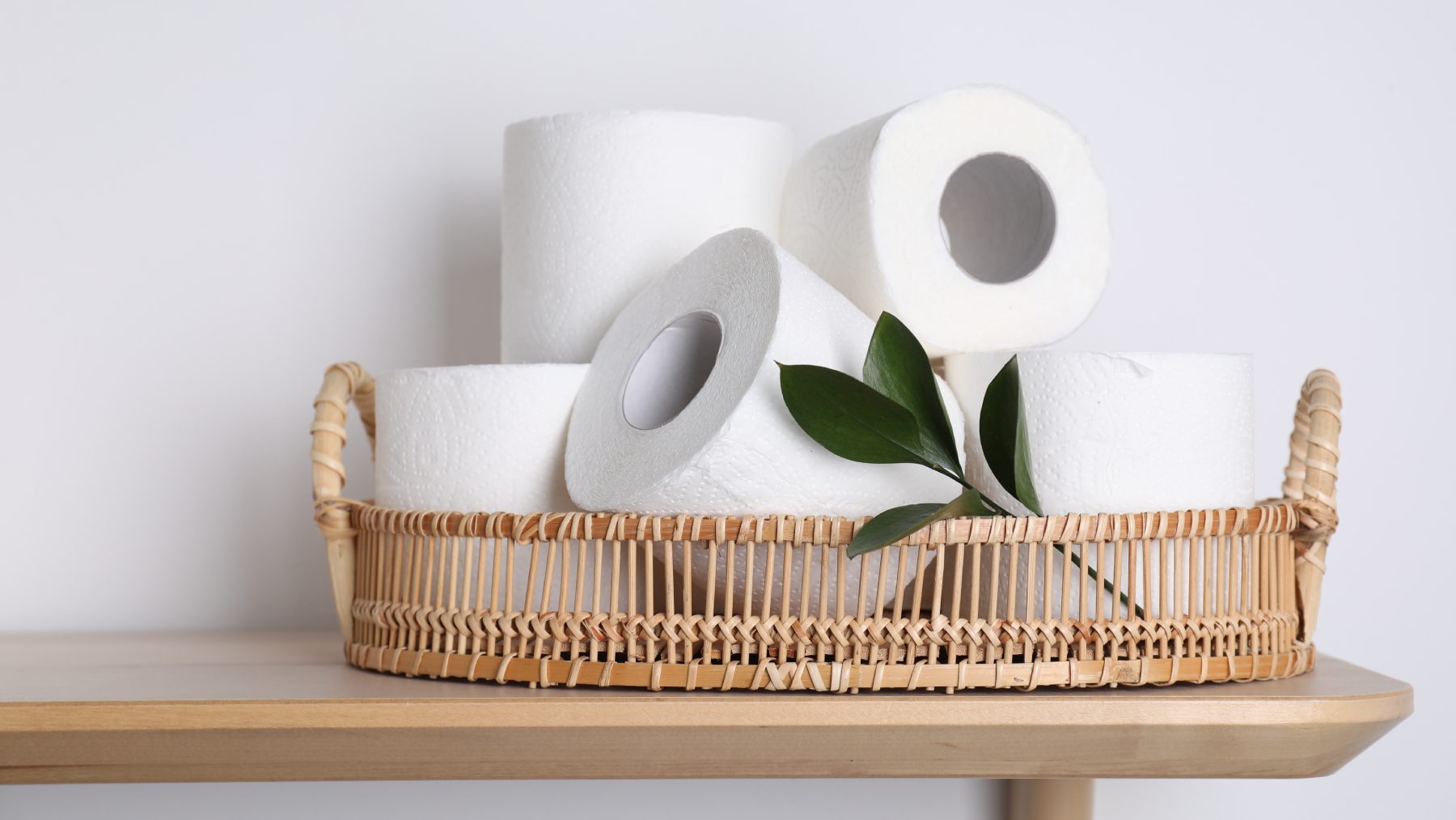 Neither wet nor recycled - this toilet technology is replacing toilet paper and is already taking Asia and beyond by storm