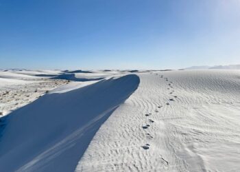 Markings at White Sands Indicate Use of Wheel-less Vehicles More Than 20,000 Years Ago - Discovery Expands Knowledge of Evolution of Early Human Technology