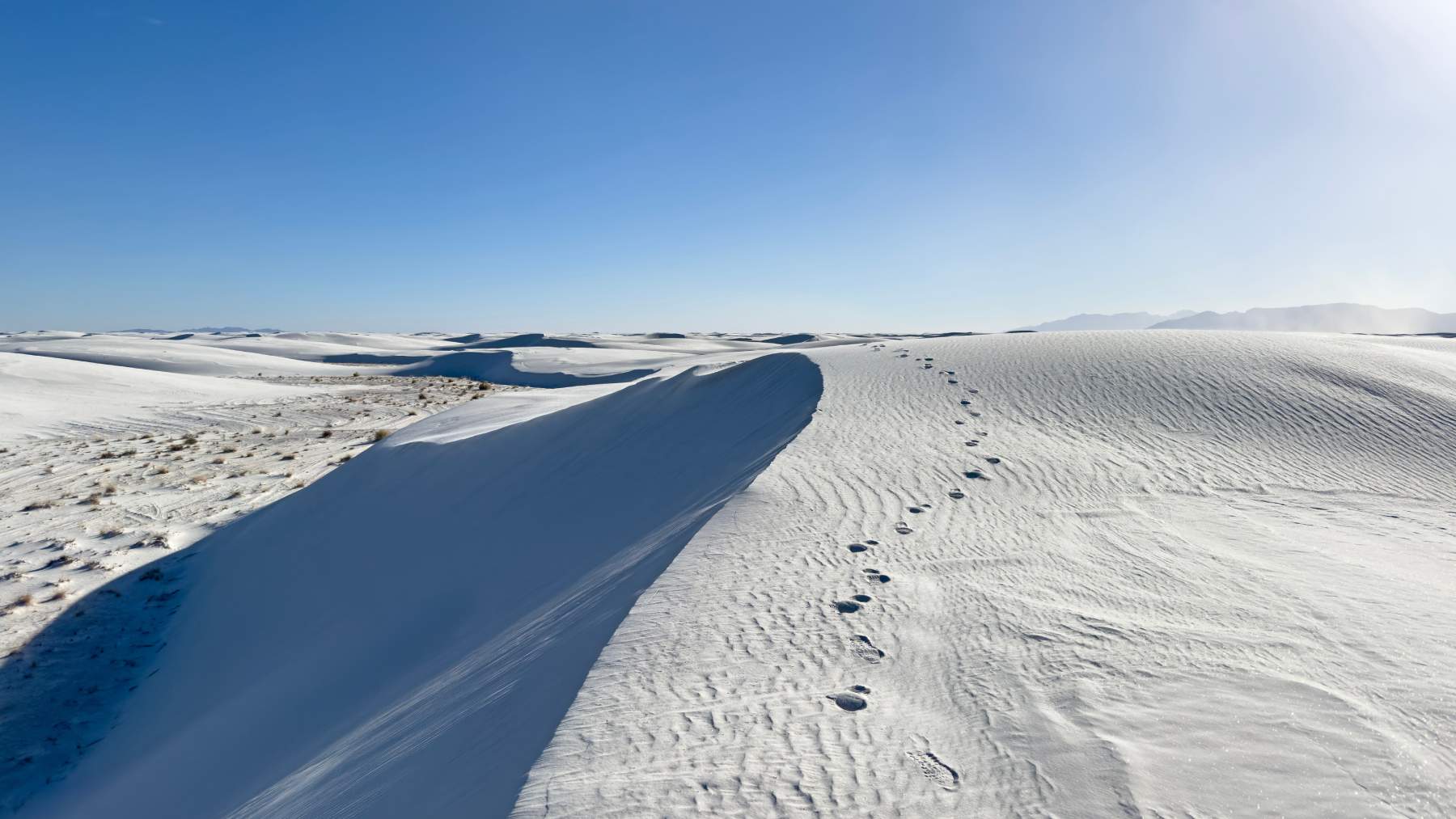 Markings at White Sands Indicate Use of Wheel-less Vehicles More Than 20,000 Years Ago - Discovery Expands Knowledge of Evolution of Early Human Technology