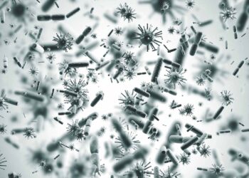 Tiangong niallia tiangongensis bacterium found in orbit opens new frontiers in astrobiology