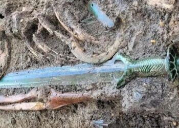 Confirmed - Bronze Age sword discovered in Germany so well-preserved that it still shines like new