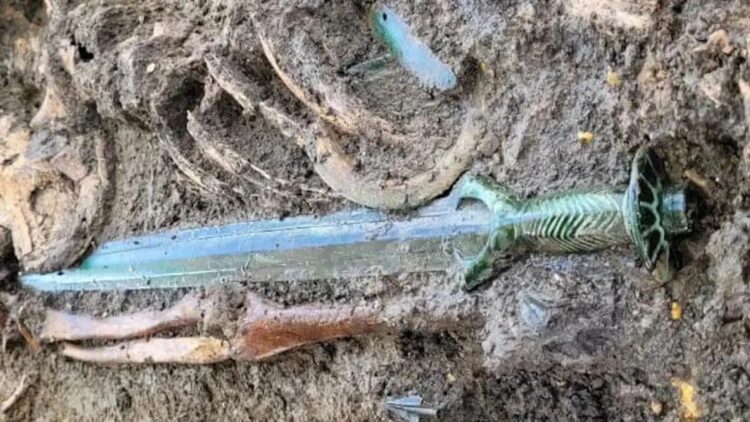 Confirmed - Bronze Age sword discovered in Germany so well-preserved that it still shines like new