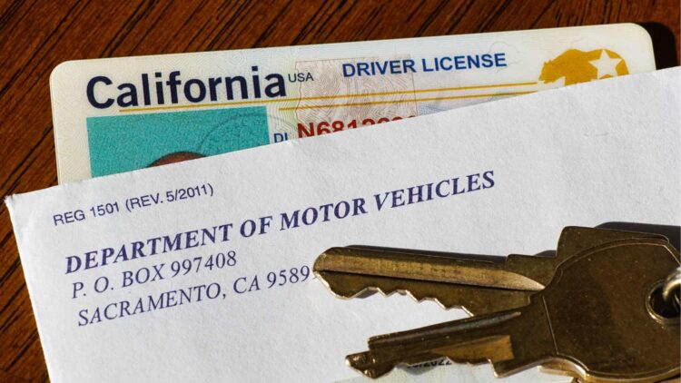 Confirmed by the DMV - these individuals will be able to obtain a California driver's license without taking the theory test