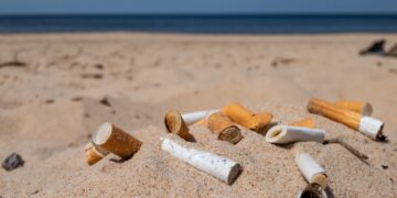 Goodbye to cigarette butts on the beach - this is how VERO works, the intelligent robot that patrols the beaches, relentlessly picking up cigarette butts