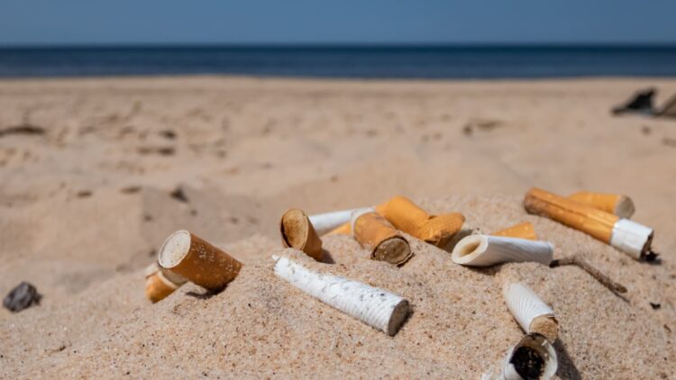 Goodbye to cigarette butts on the beach - this is how VERO works, the intelligent robot that patrols the beaches, relentlessly picking up cigarette butts