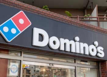 Ordered a pizza at Domino's and was charged 100 times its value - now faces financial hell