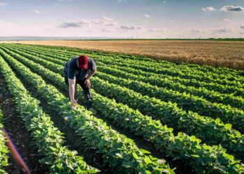 No rice, no lentils - these are the foods you should keep at home in case the apocalypse comes, according to science