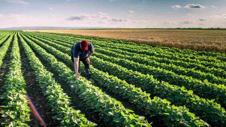 No rice, no lentils - these are the foods you should keep at home in case the apocalypse comes, according to science