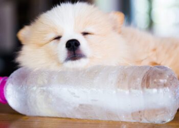 Goodbye to heat - this German method cools your home in summer without air conditioning and expensive appliances