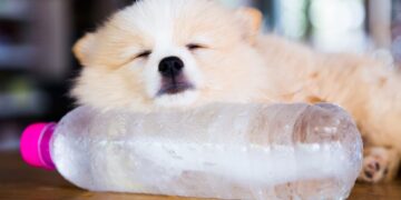 Goodbye to heat - this German method cools your home in summer without air conditioning and expensive appliances