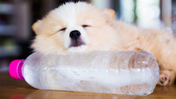 Goodbye to heat - this German method cools your home in summer without air conditioning and expensive appliances