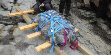 It's official - Dog-sized juvenile Middle Jurassic dinosaur discovered in an inaccessible area of Scotland - It was extracted with ropes and motorboat in a protected location