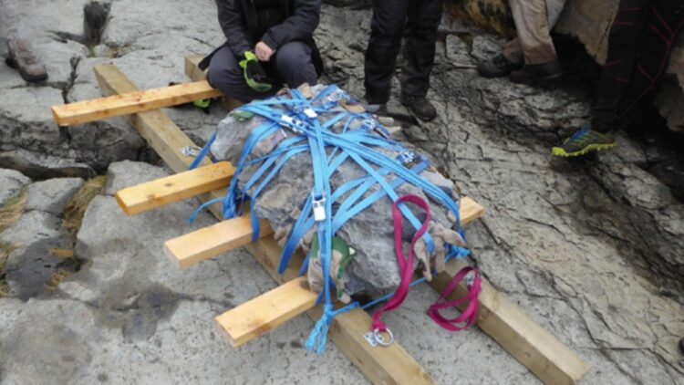 It's official - Dog-sized juvenile Middle Jurassic dinosaur discovered in an inaccessible area of Scotland - It was extracted with ropes and motorboat in a protected location