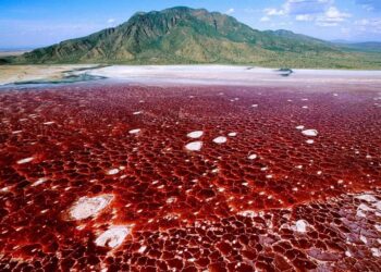 Confirmed - Lake Natron in Tanzania mummifies live animals and is one of the most extreme places on the planet