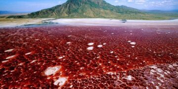 Confirmed - Lake Natron in Tanzania mummifies live animals and is one of the most extreme places on the planet