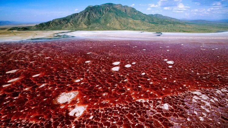 Confirmed - Lake Natron in Tanzania mummifies live animals and is one of the most extreme places on the planet