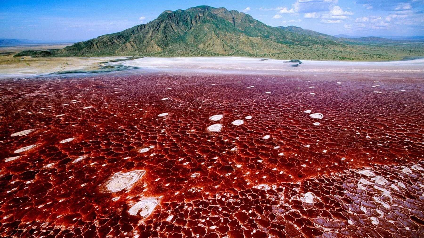Confirmed - Lake Natron in Tanzania mummifies live animals and is one of the most extreme places on the planet